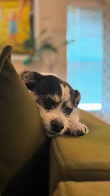 Instagram post thumbnail