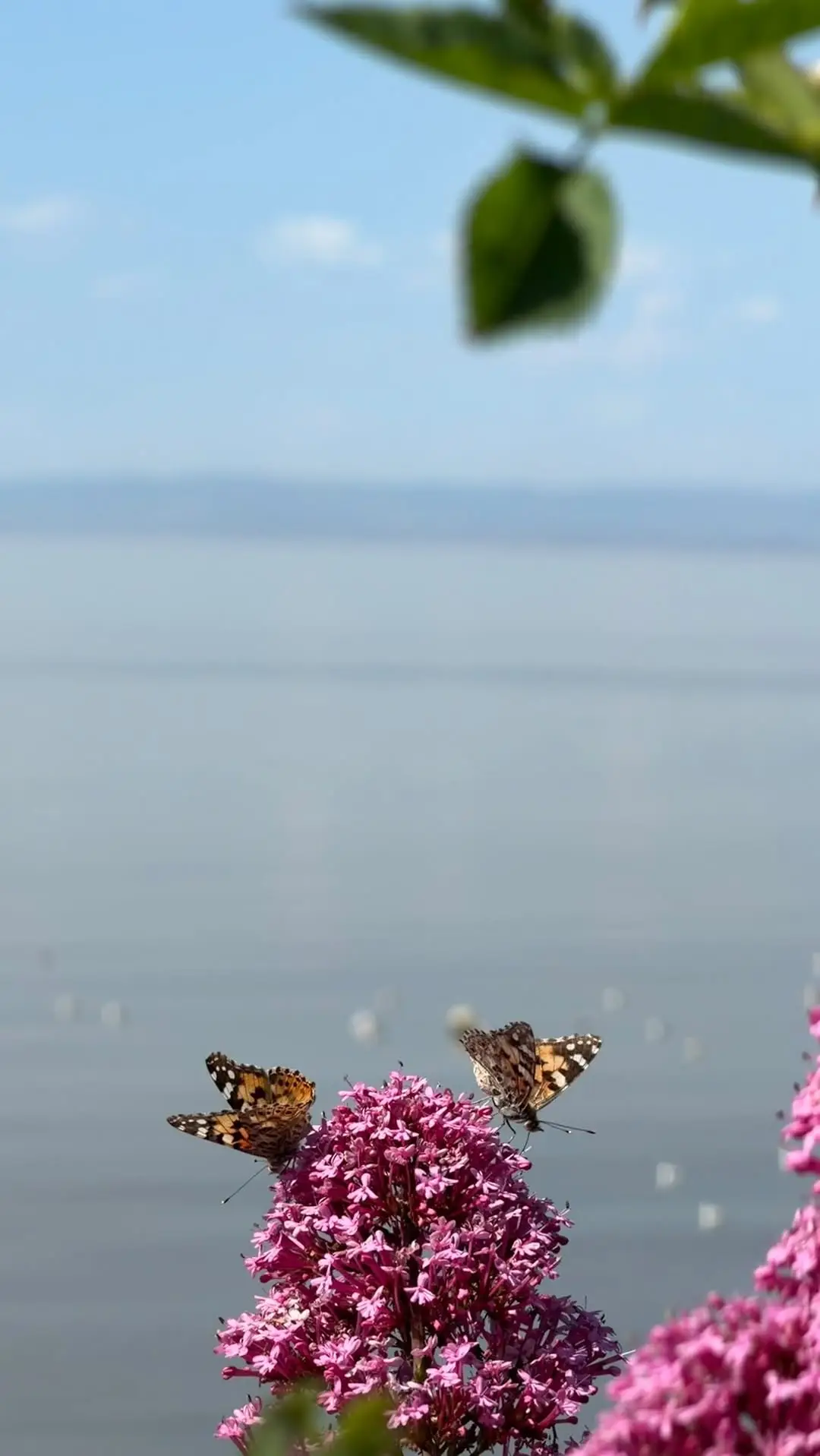 Instagram post preview 1 from travelwithourgirls