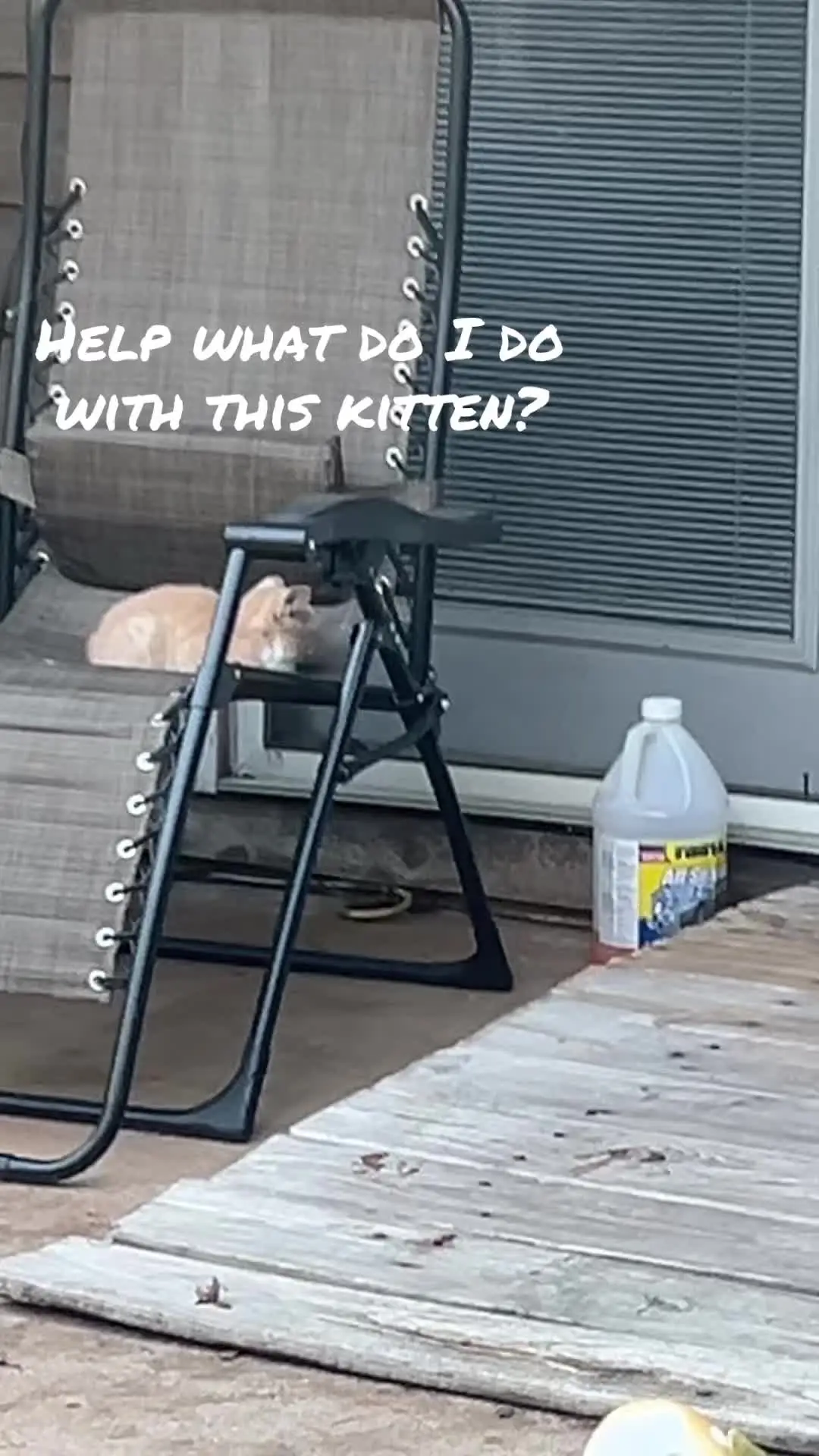 Tiktok post thumbnail