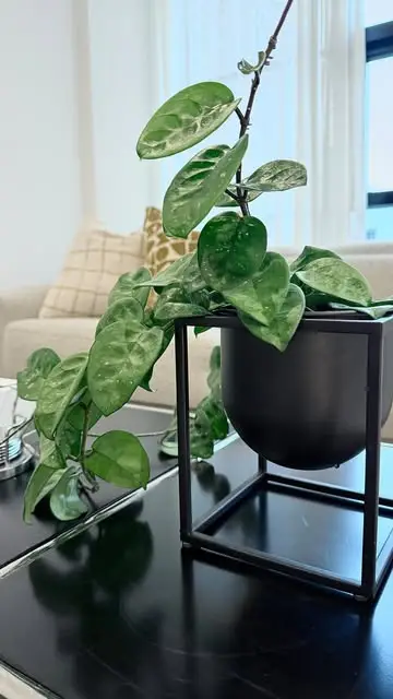 Instagram post preview 3 from kml.interiors_