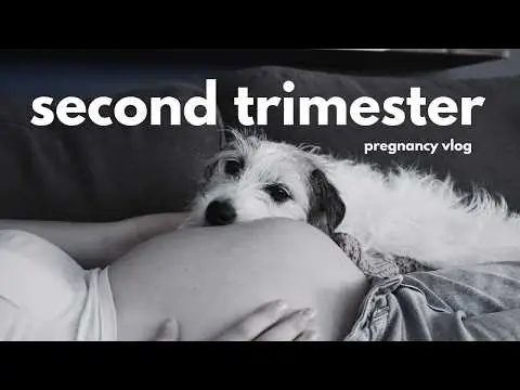 Youtube post thumbnail