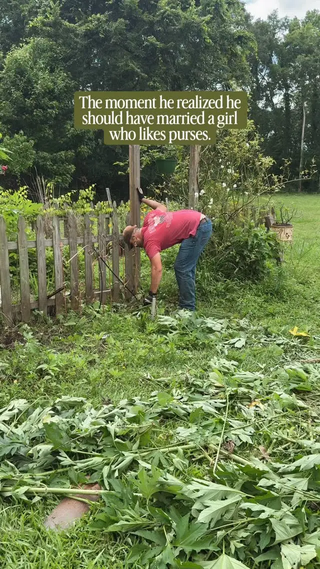 Instagram post preview 1 from growingwildwood