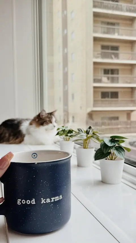 Instagram post thumbnail