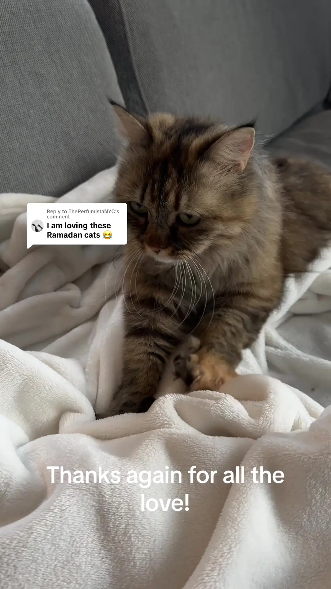 Tiktok post thumbnail