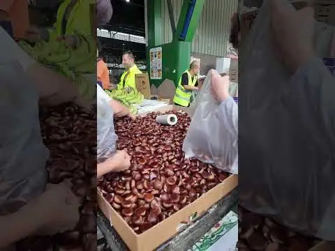 Youtube post preview 3 from UCjVPqIaIEUpDzEOvaA-IH6A