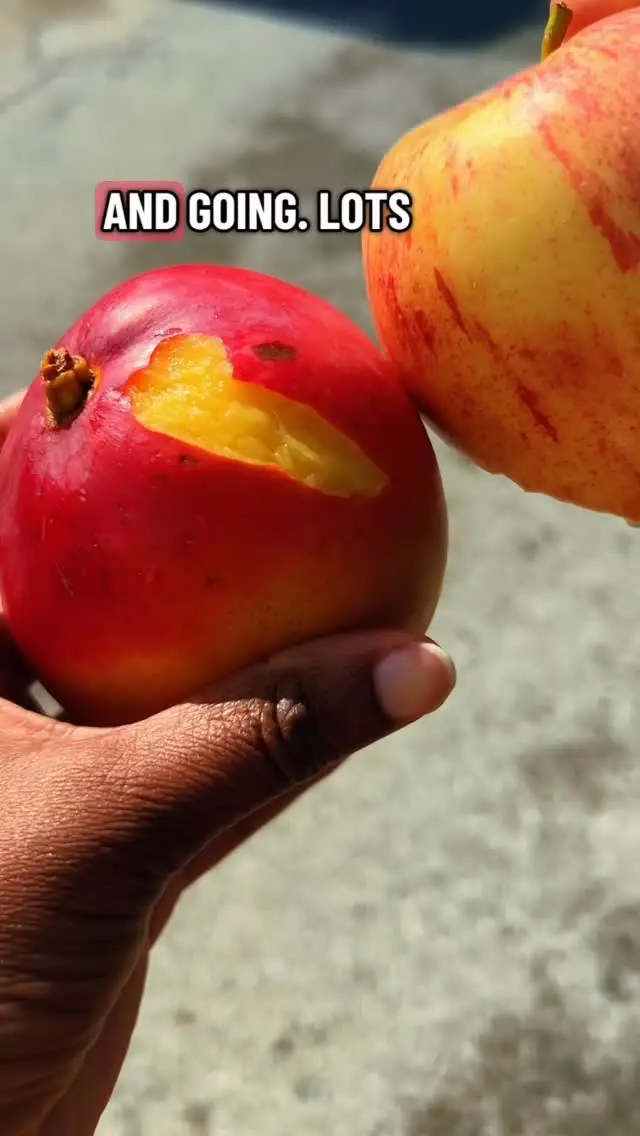 Instagram post thumbnail