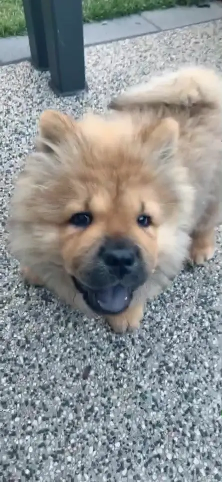 Tiktok post preview 3 from @ruby.mack