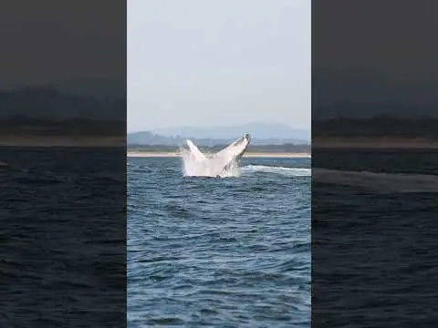 Youtube post thumbnail