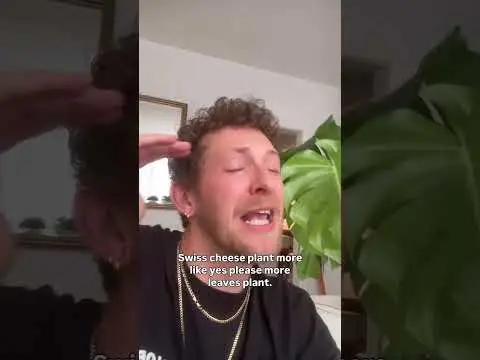 Youtube post thumbnail