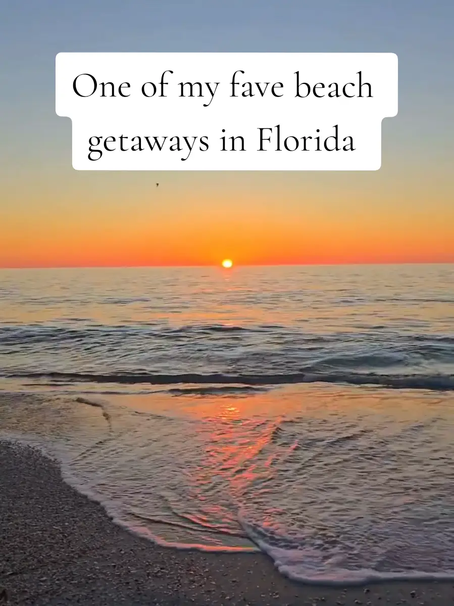 Tiktok post preview 3 from @gallivantinglaura