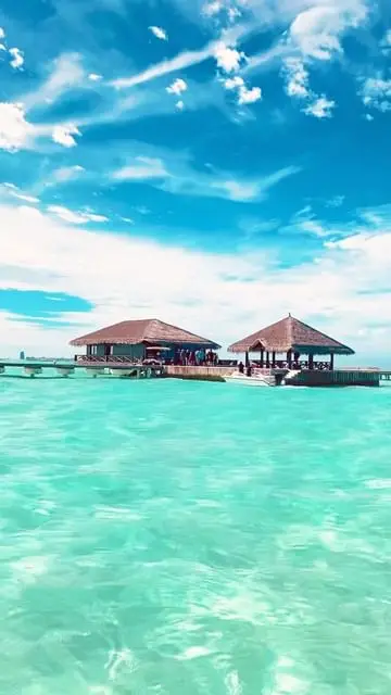 Instagram post thumbnail