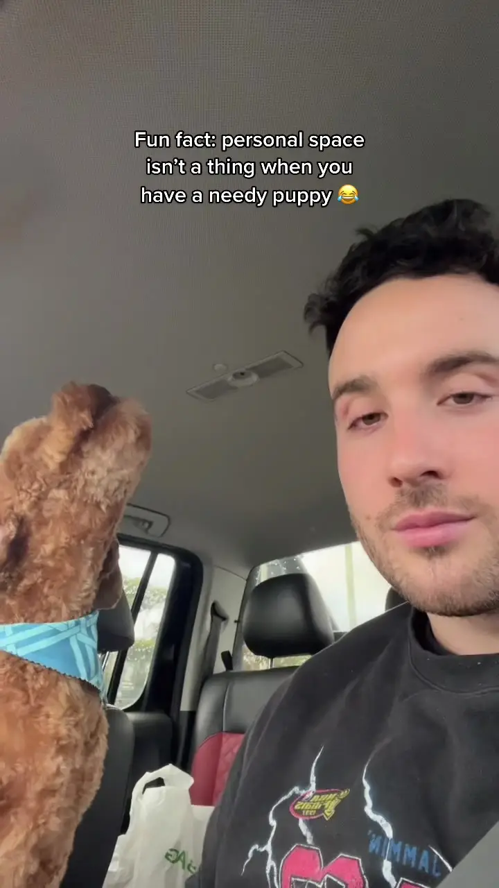 Tiktok post thumbnail