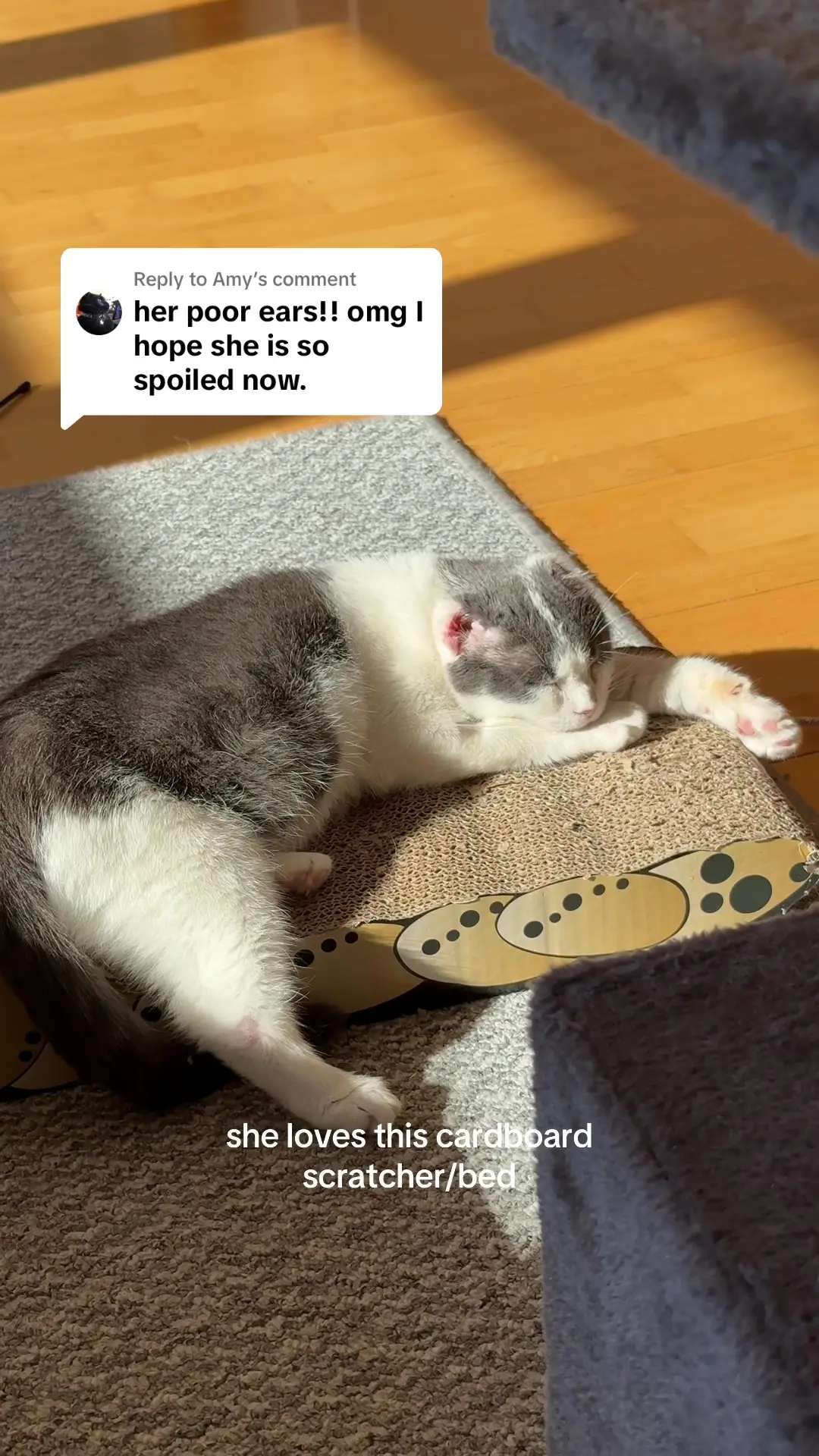 Tiktok post preview 2 from @mayarasousa.co