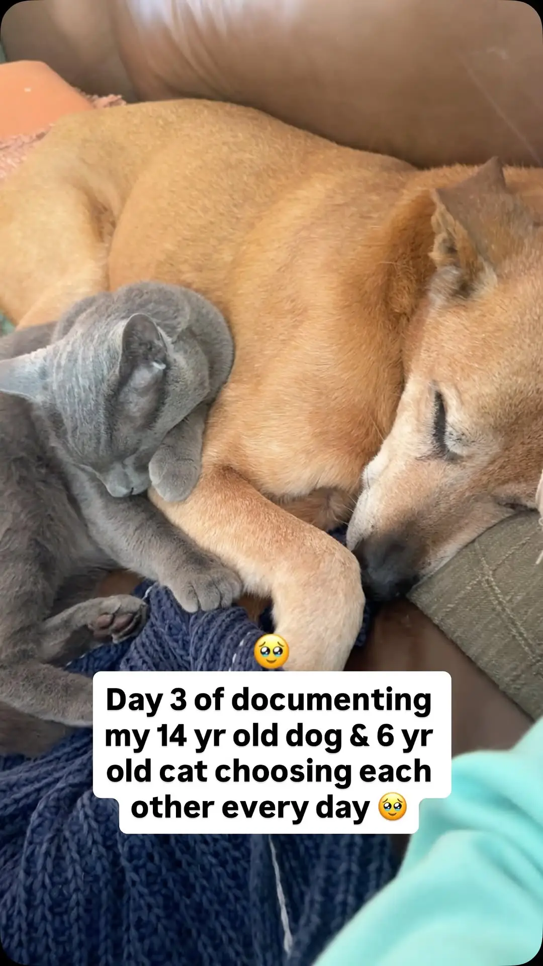 Instagram post preview 2 from whiskeytoller