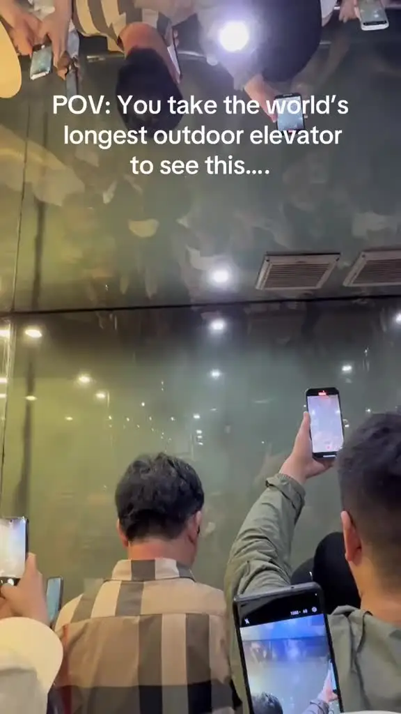 Tiktok post preview 2 from @wildpoppytravels