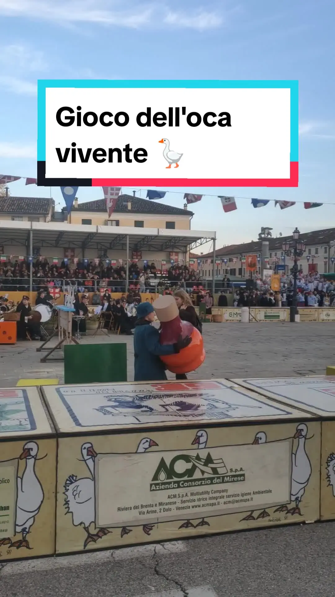 Tiktok post preview 3 from @vichinghivaganti