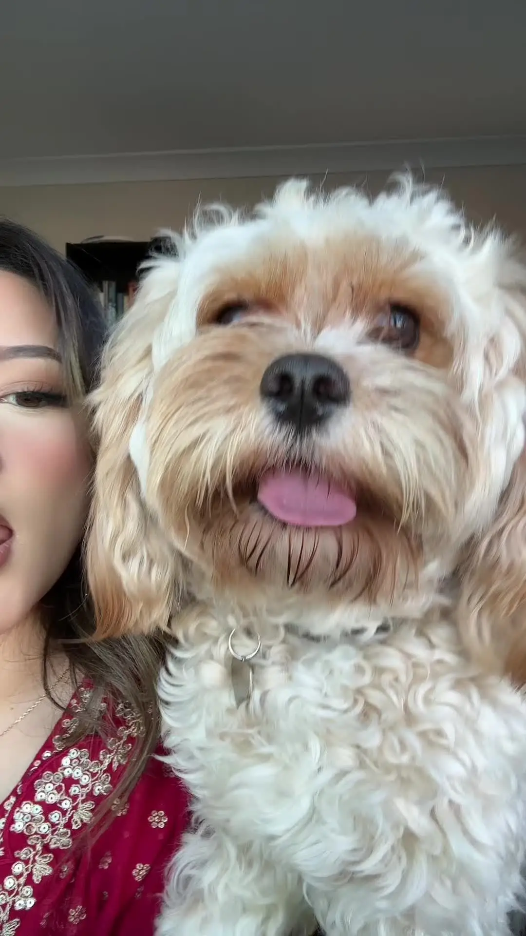 Tiktok post preview 1 from @evanxgelinee