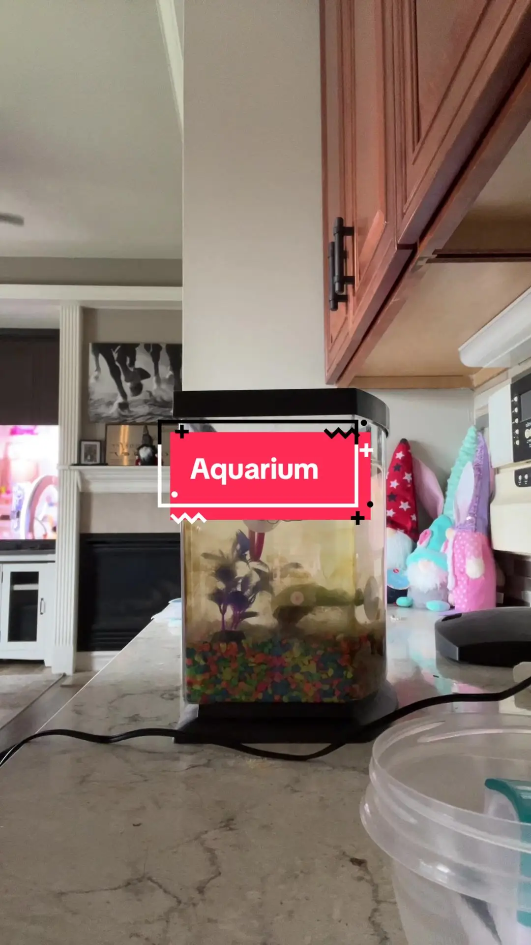 Tiktok post preview 3 from @savinmomma