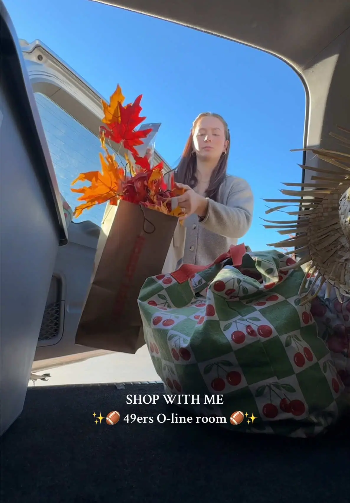 Tiktok post preview 3 from @lindsymariecolby