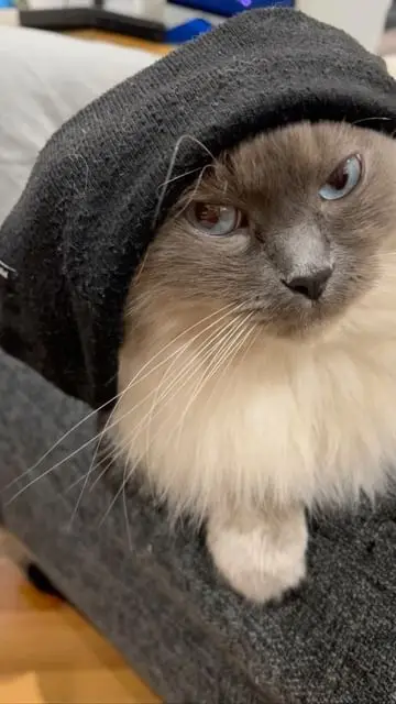 Instagram post thumbnail