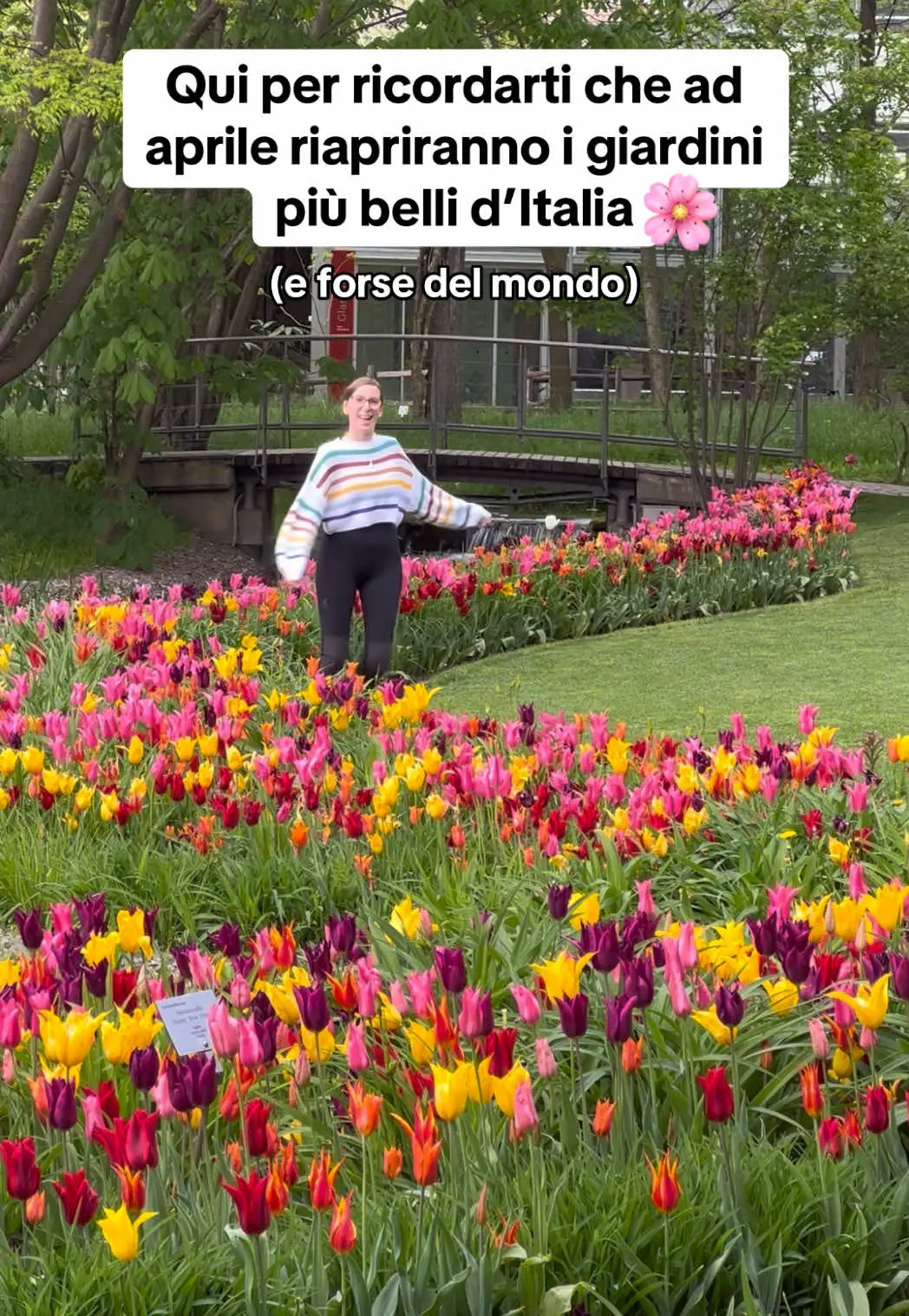 Tiktok post preview 2 from @lostandfoundtravelling