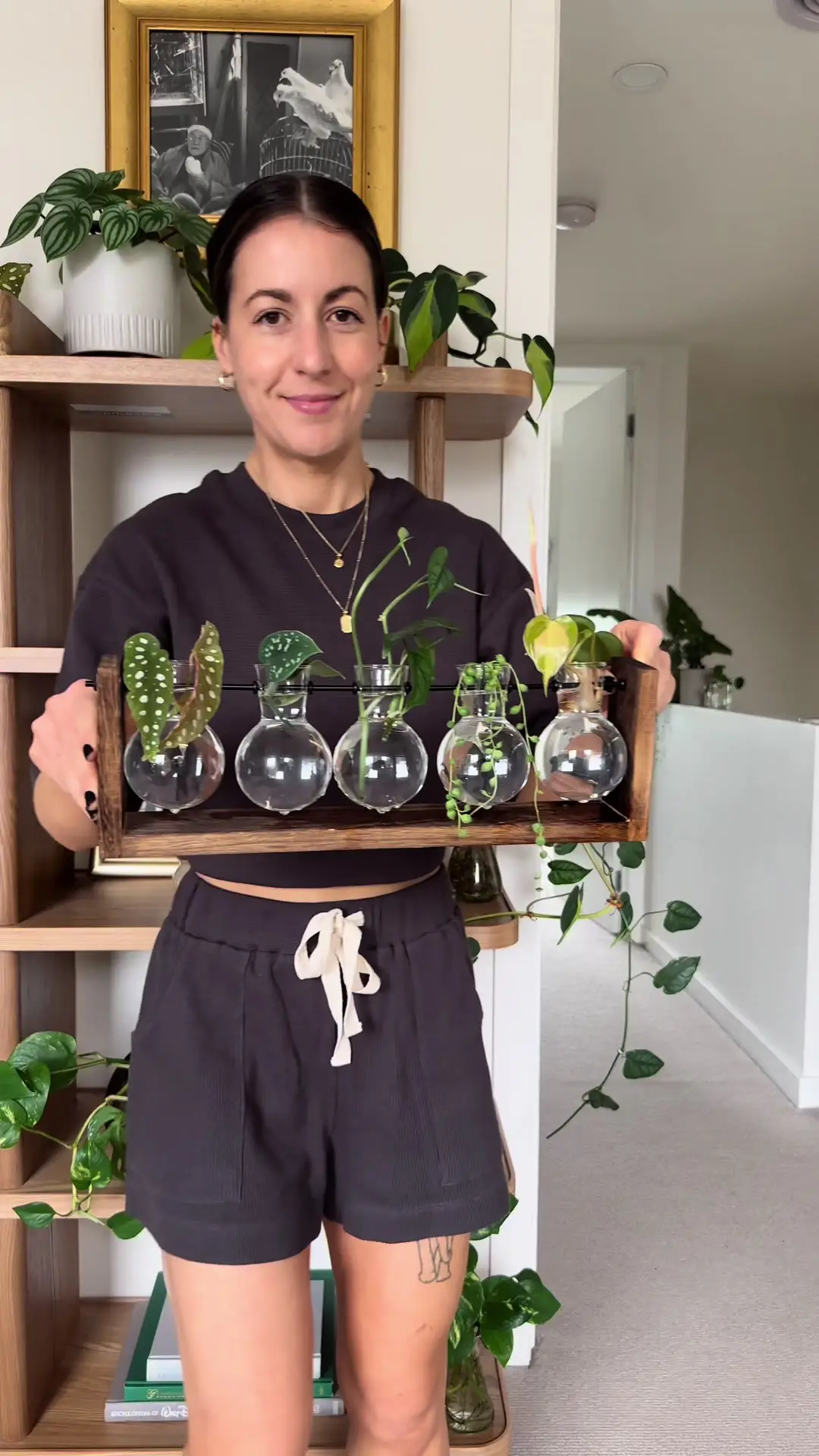 Tiktok post preview 2 from @passthatplant