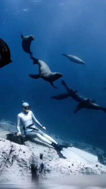 Instagram post thumbnail