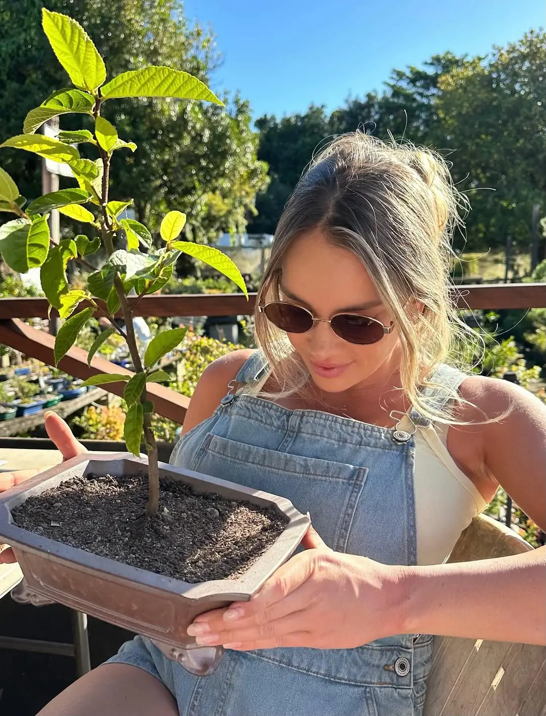 Instagram post thumbnail