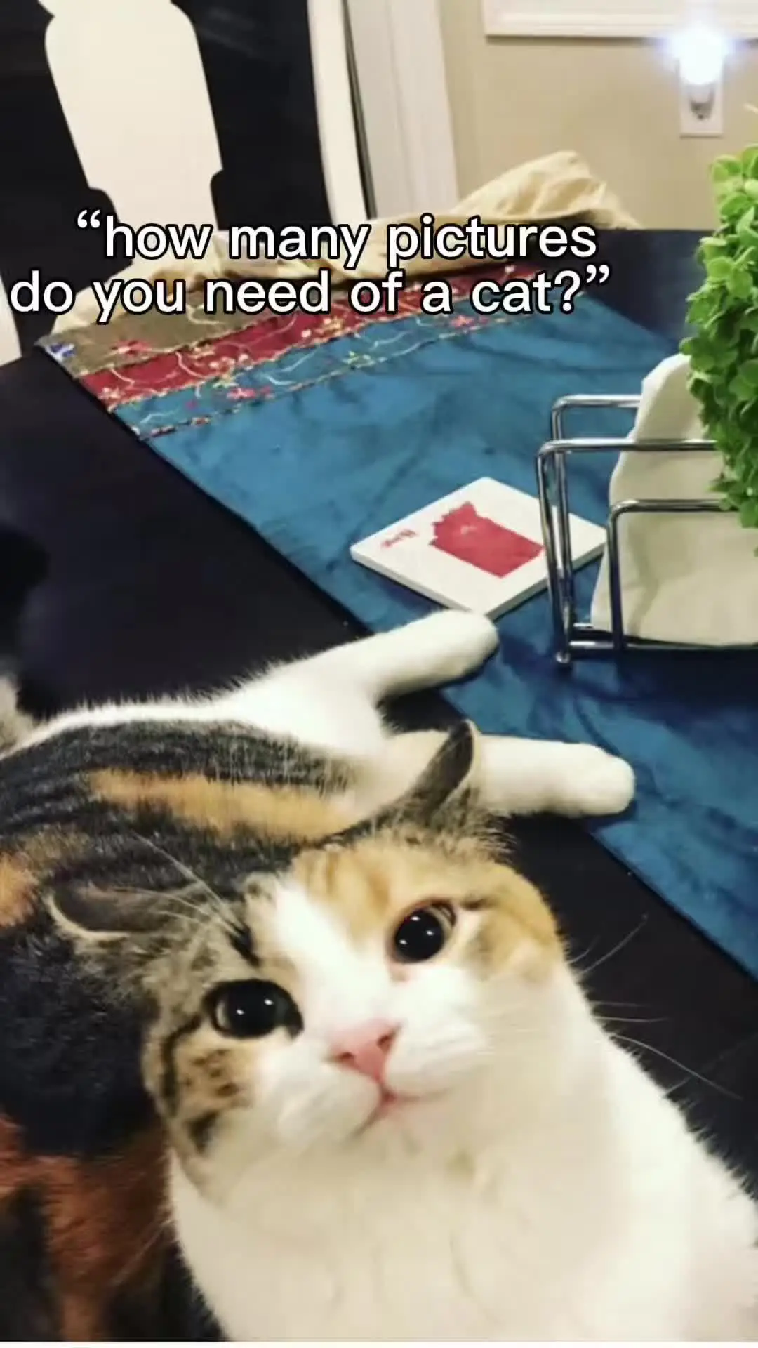Tiktok post thumbnail