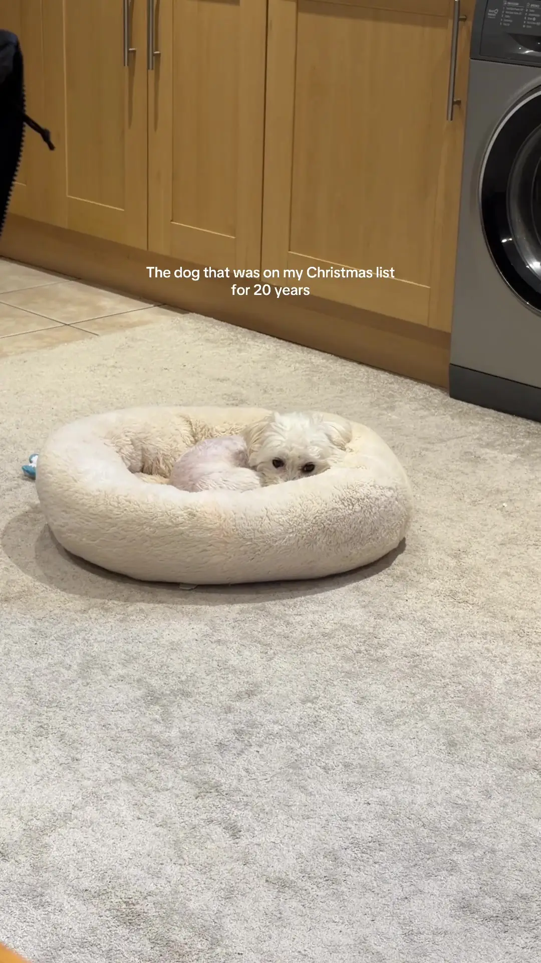 Tiktok post preview 2 from @catherinesophiajesus