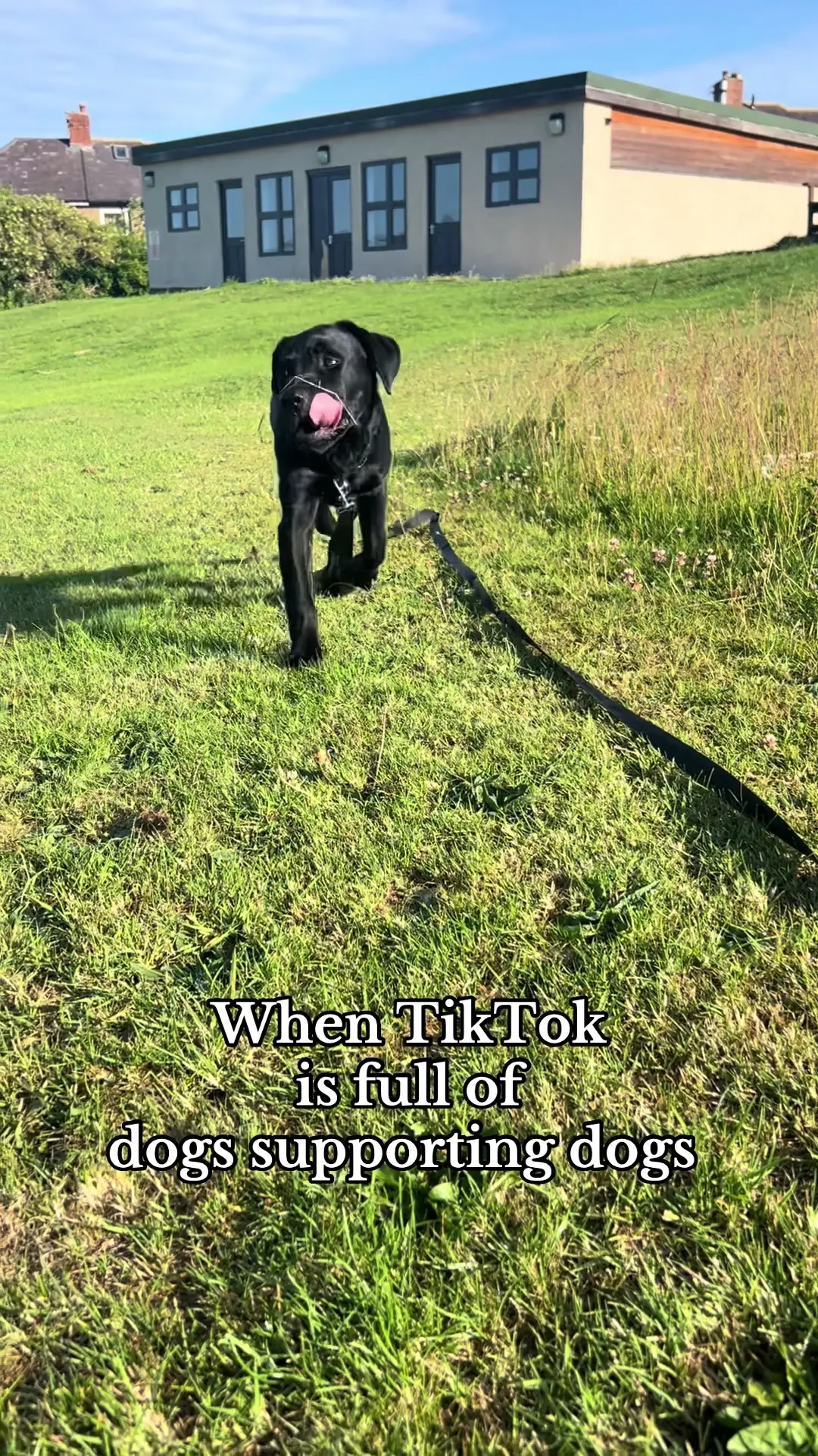 Tiktok post thumbnail