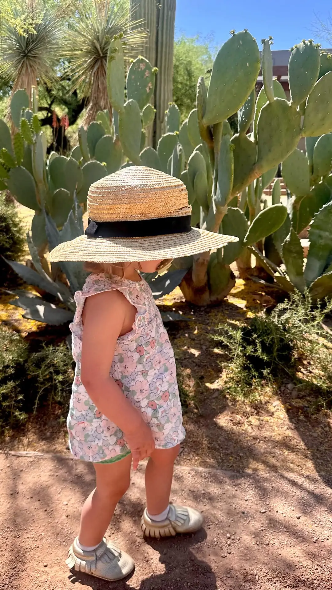 Instagram post thumbnail