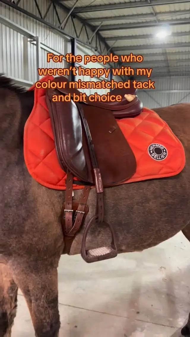 Instagram post preview 3 from theexampleau