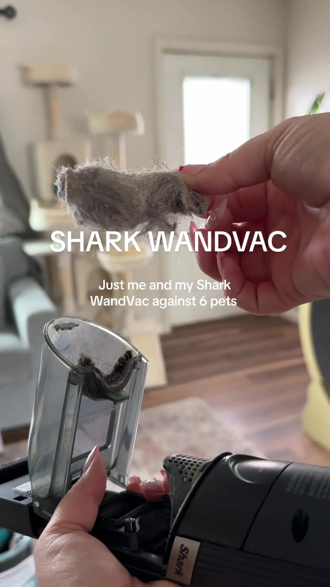 Tiktok post preview 1 from @bkalino