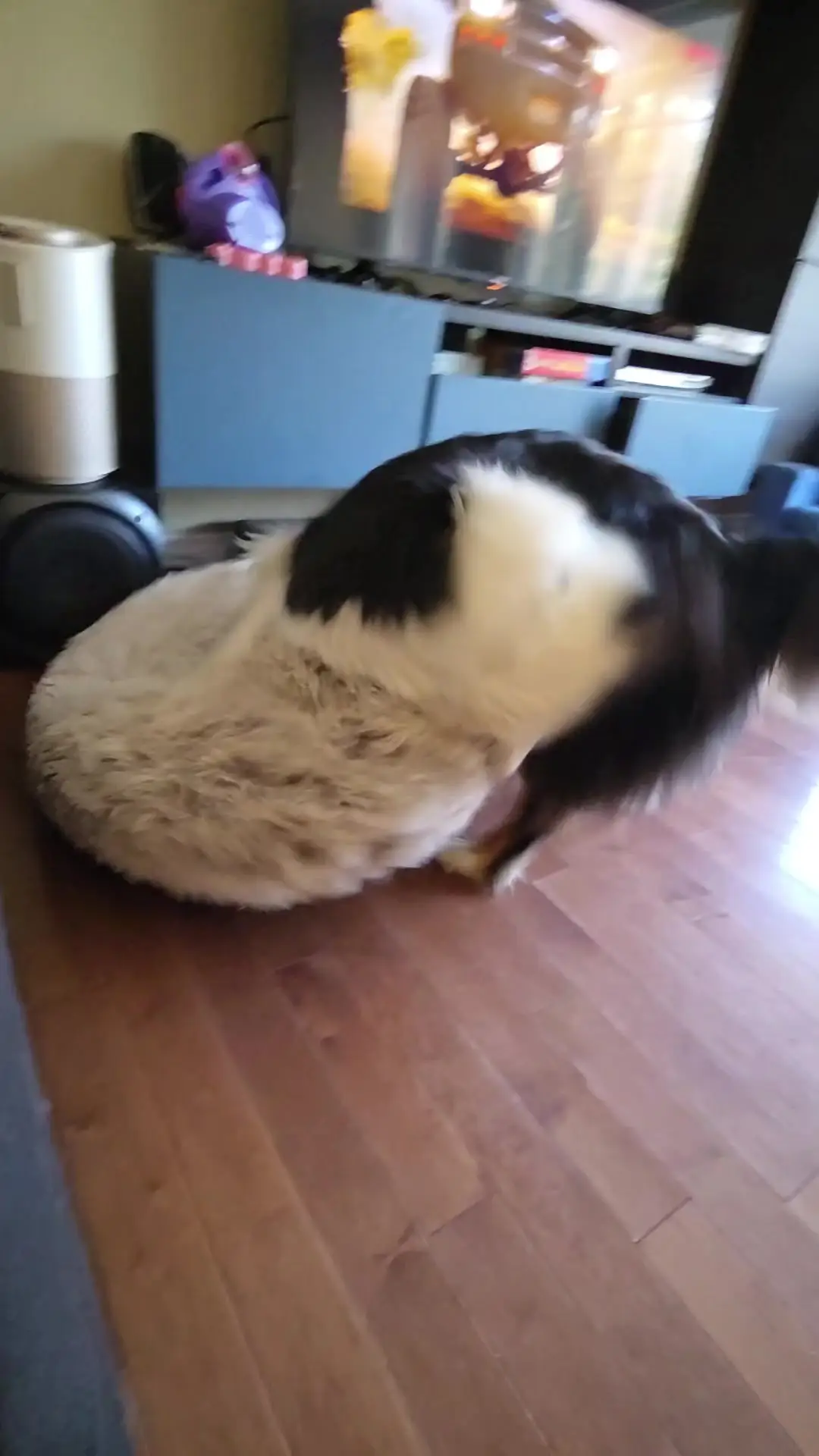 Tiktok post preview 2 from @milou.cie