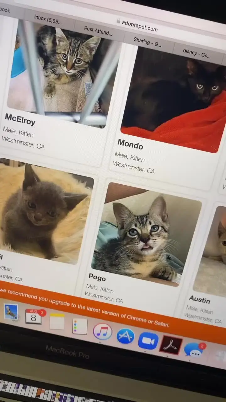 Tiktok post thumbnail
