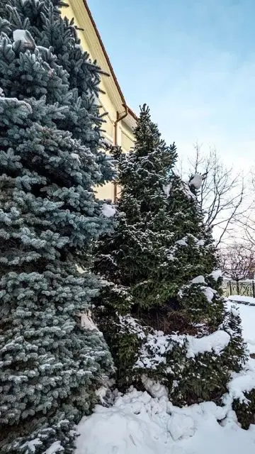 Instagram post thumbnail