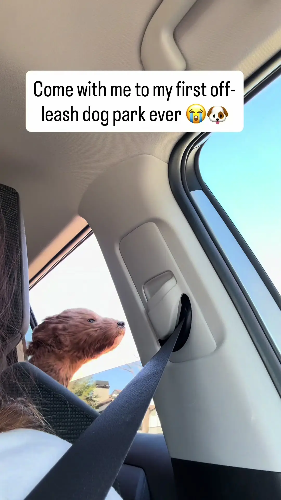 Tiktok post preview 2 from @veer_boop
