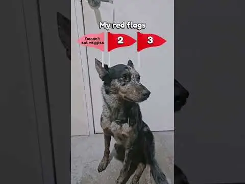 Youtube post preview 2 from UCdrOq31fZLsg-aDx9haxxjg