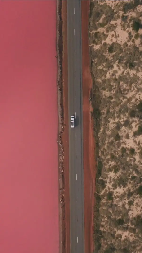 Instagram post preview 2 from dazandcecil