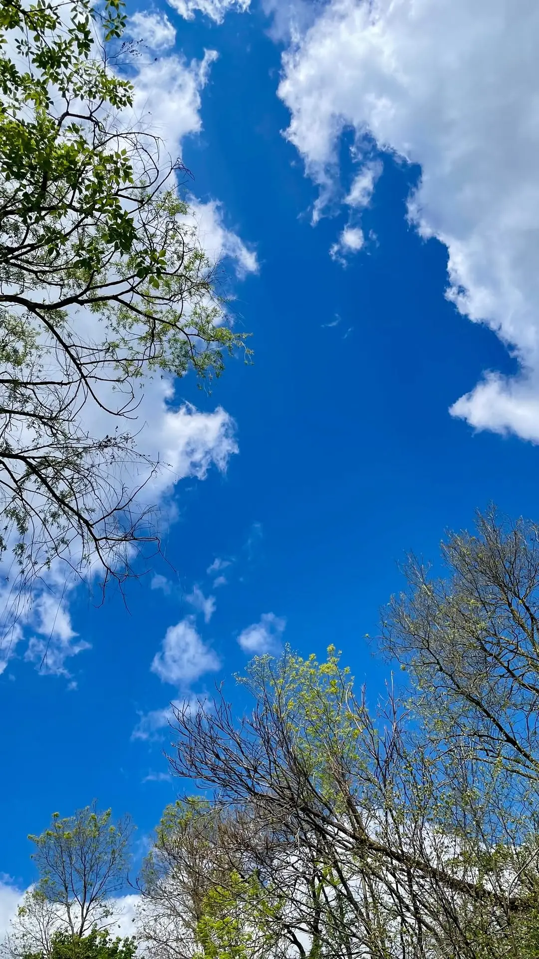 Instagram post thumbnail