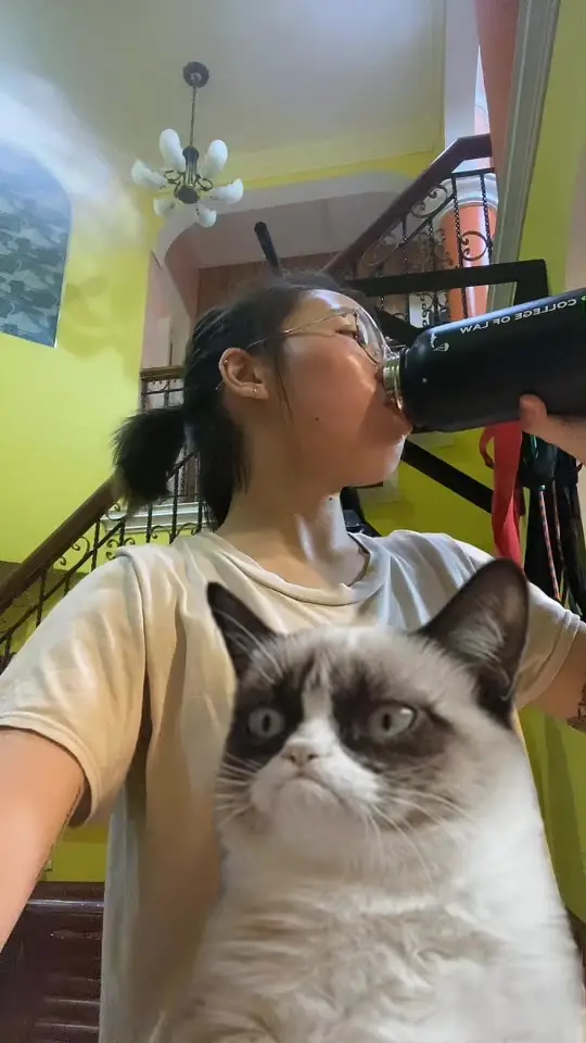 Tiktok post preview 3 from @pantherthecat02