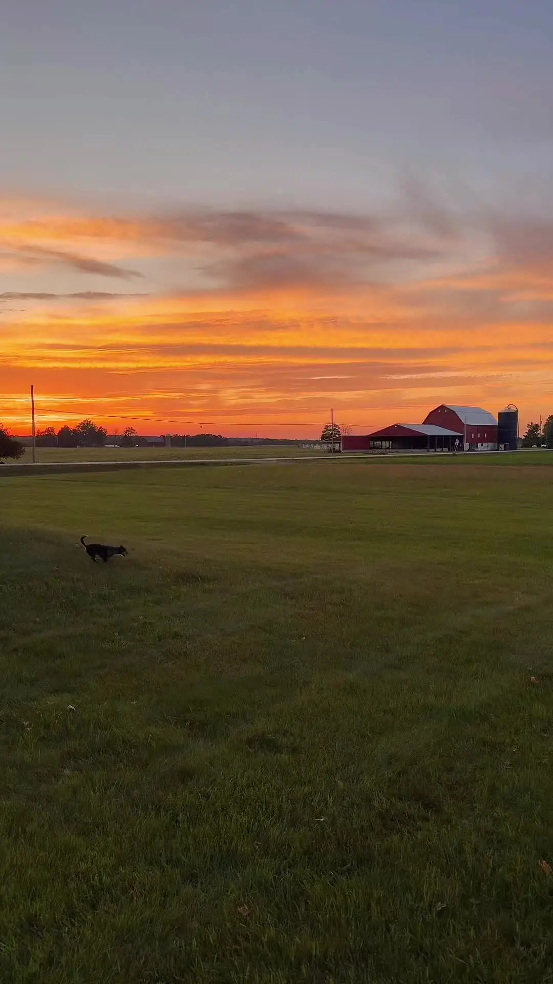 Tiktok post preview 3 from @adalinefauatea