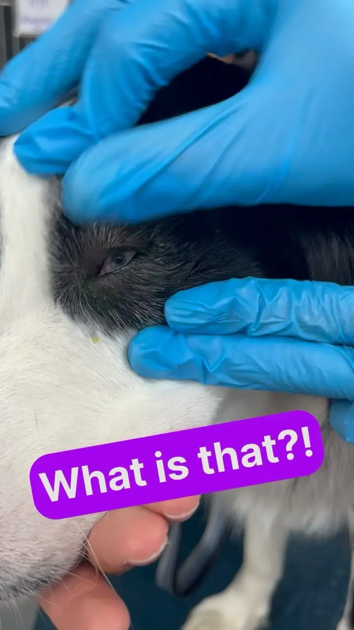 Instagram post thumbnail