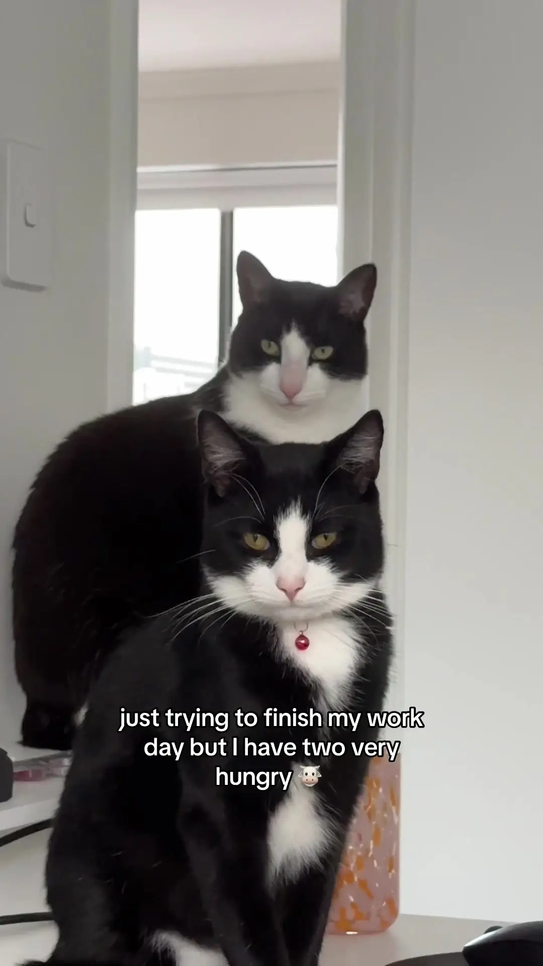 Tiktok post thumbnail