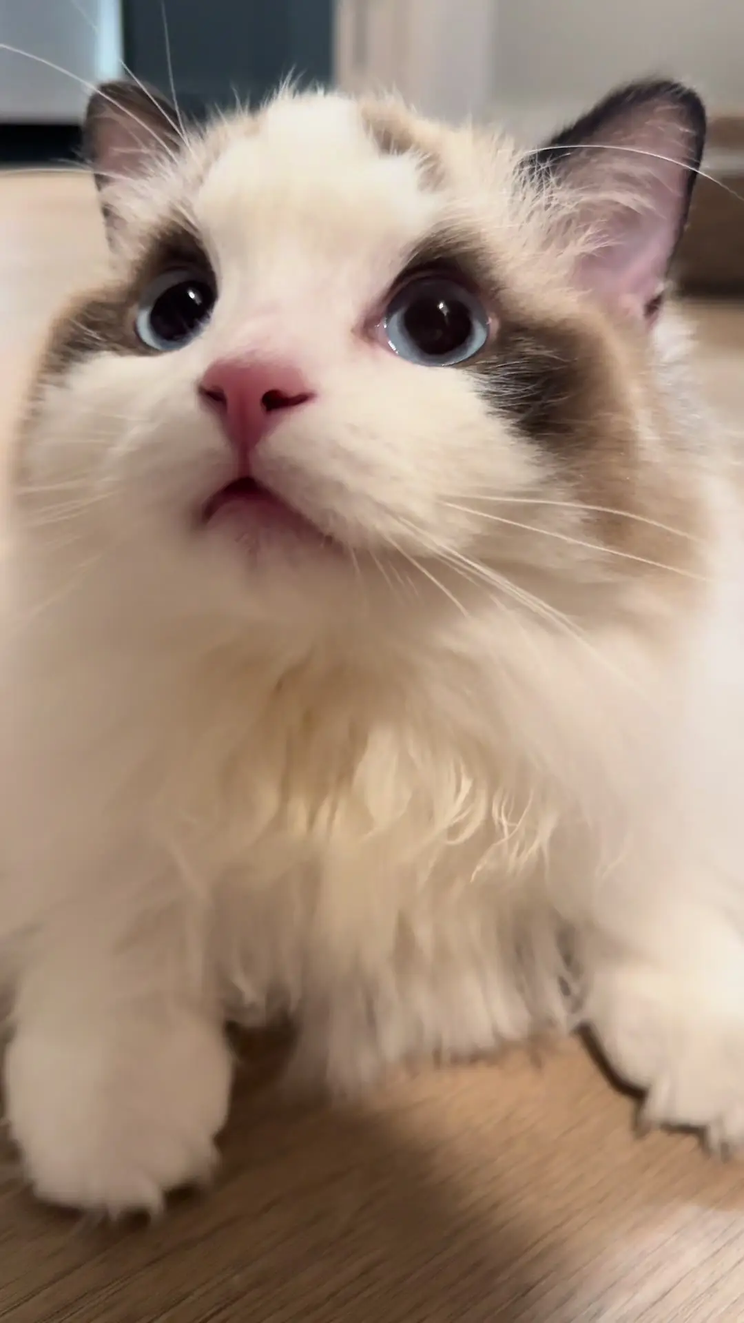 Tiktok post thumbnail