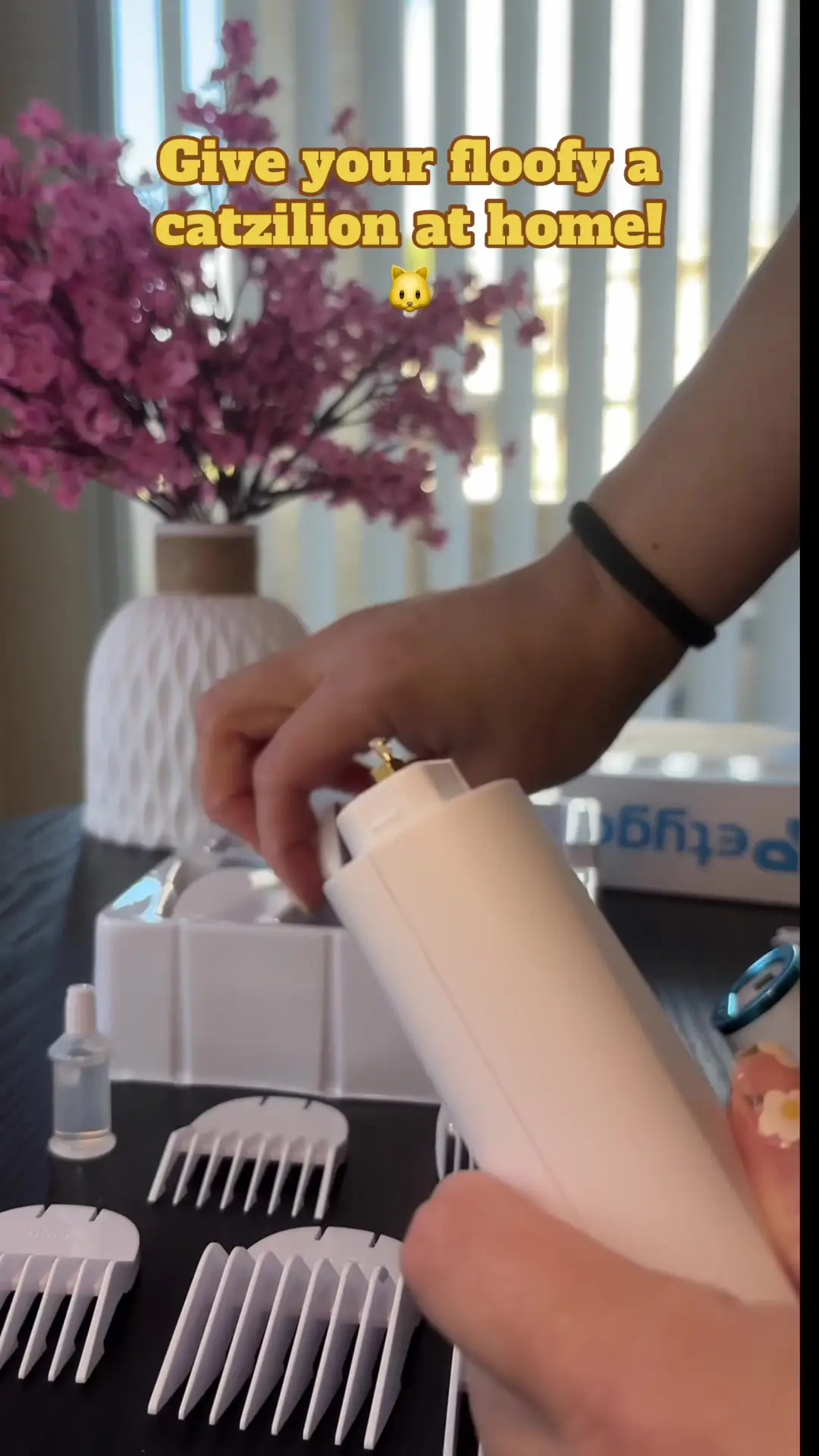 Tiktok post preview 1 from @livflarequeen