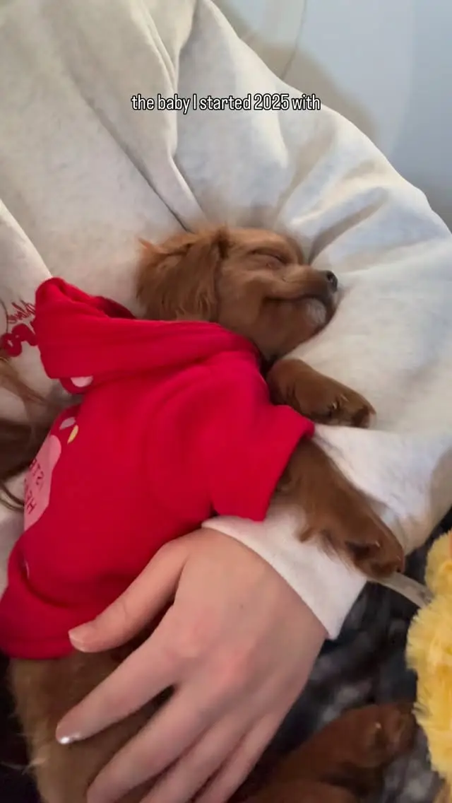 Instagram post thumbnail