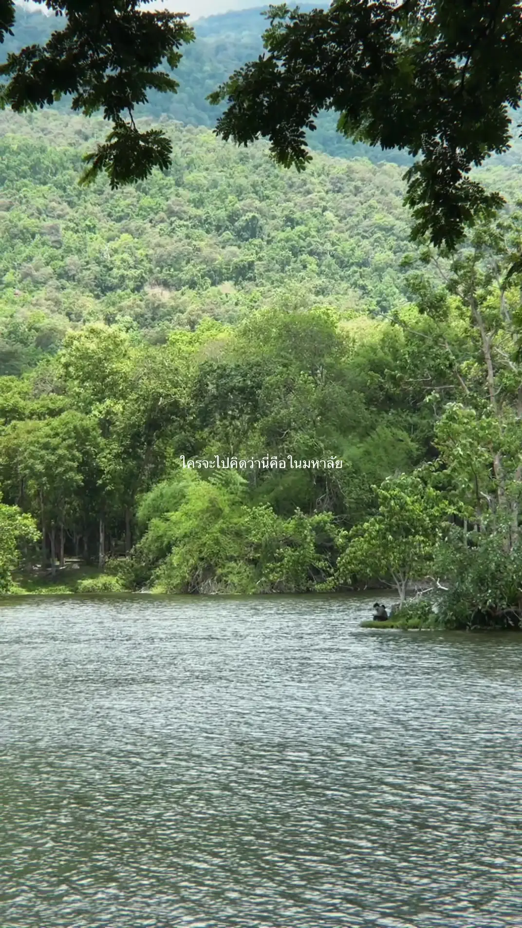Tiktok post preview 3 from @alisasut.thailandvsglobe