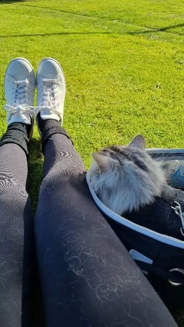Instagram post thumbnail
